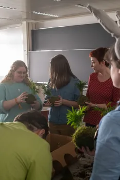 Copyright : Caryl Treuthardt